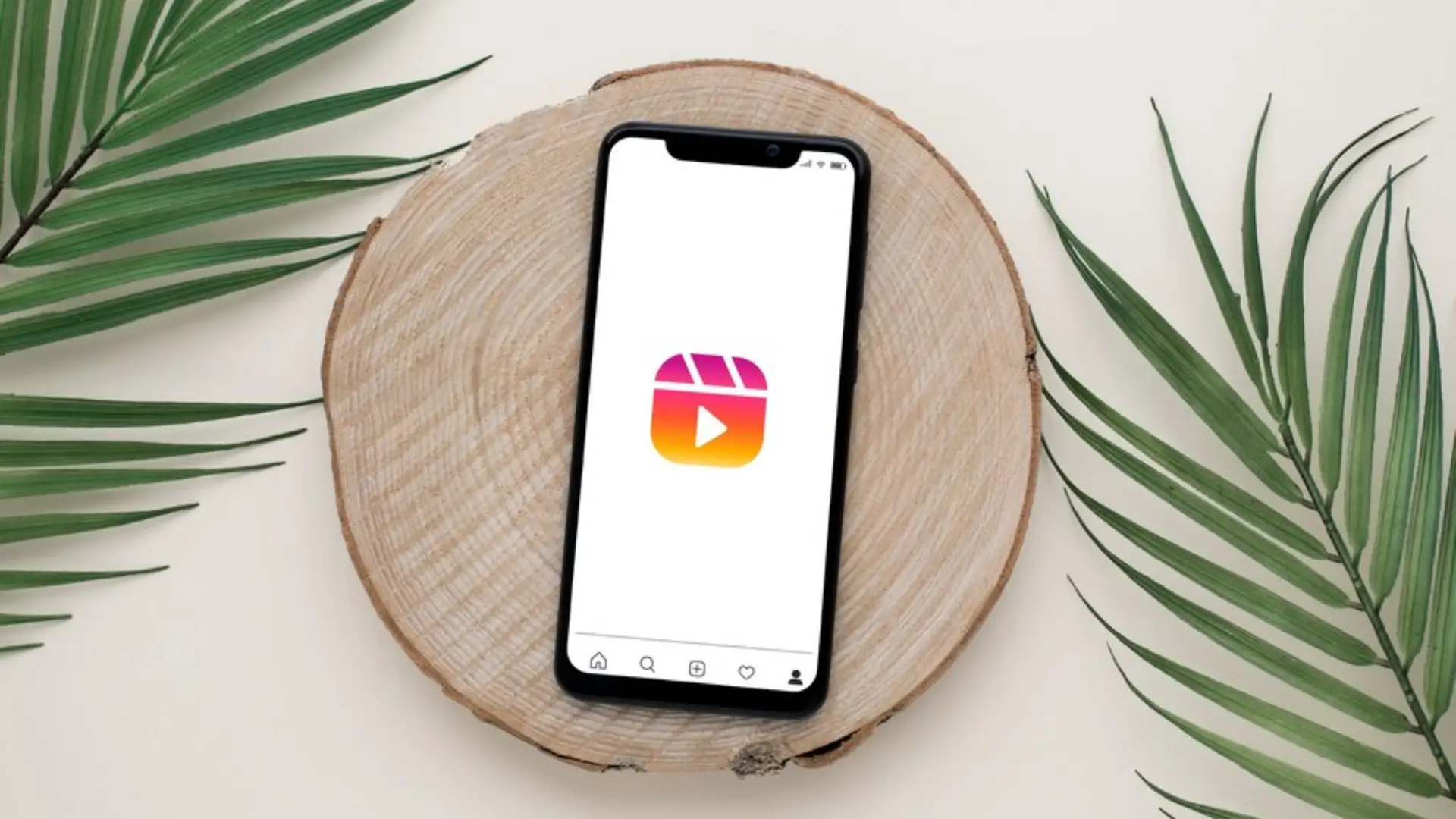 Read more about the article An Introduction to Instagram Reels like No Other