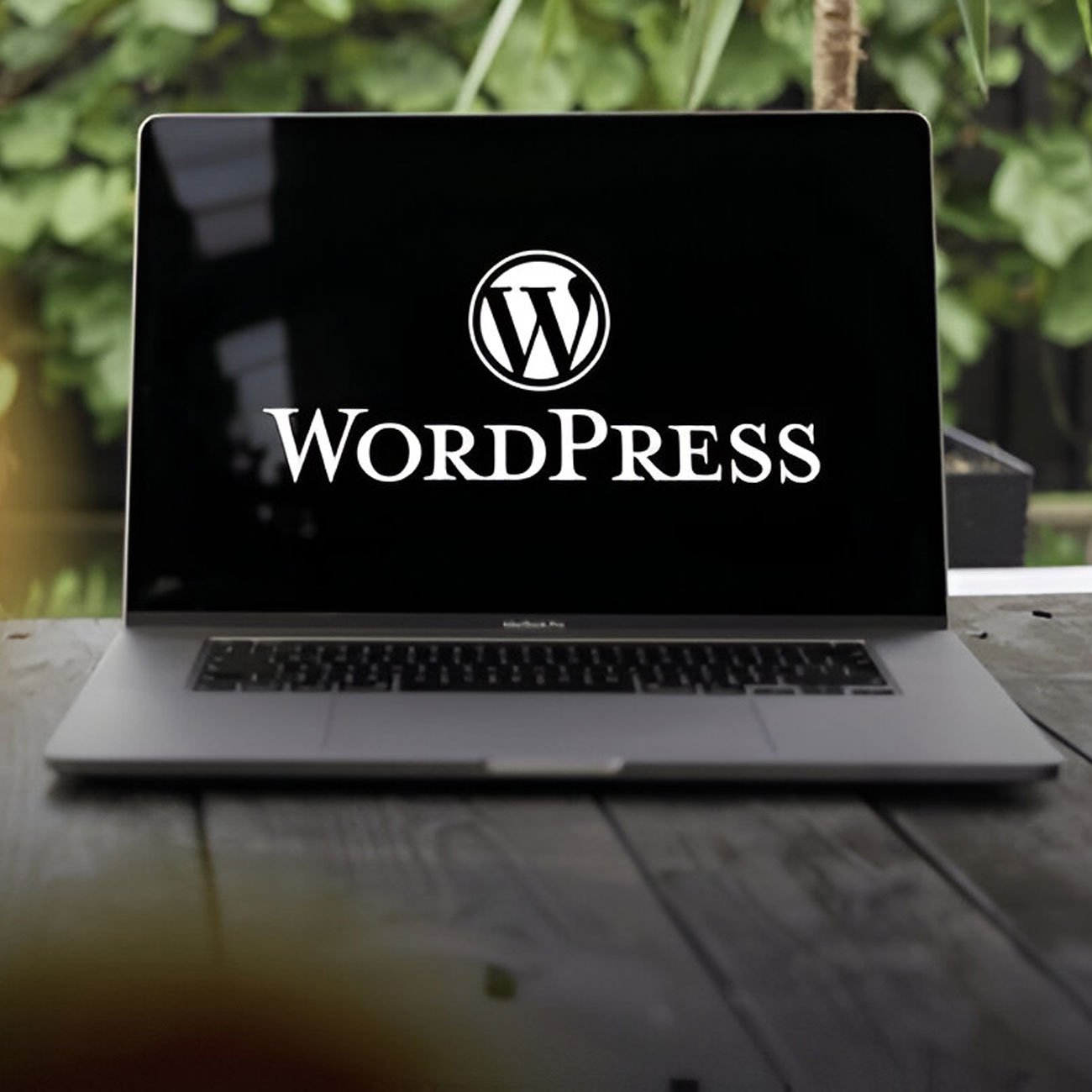 best wordpress website design services