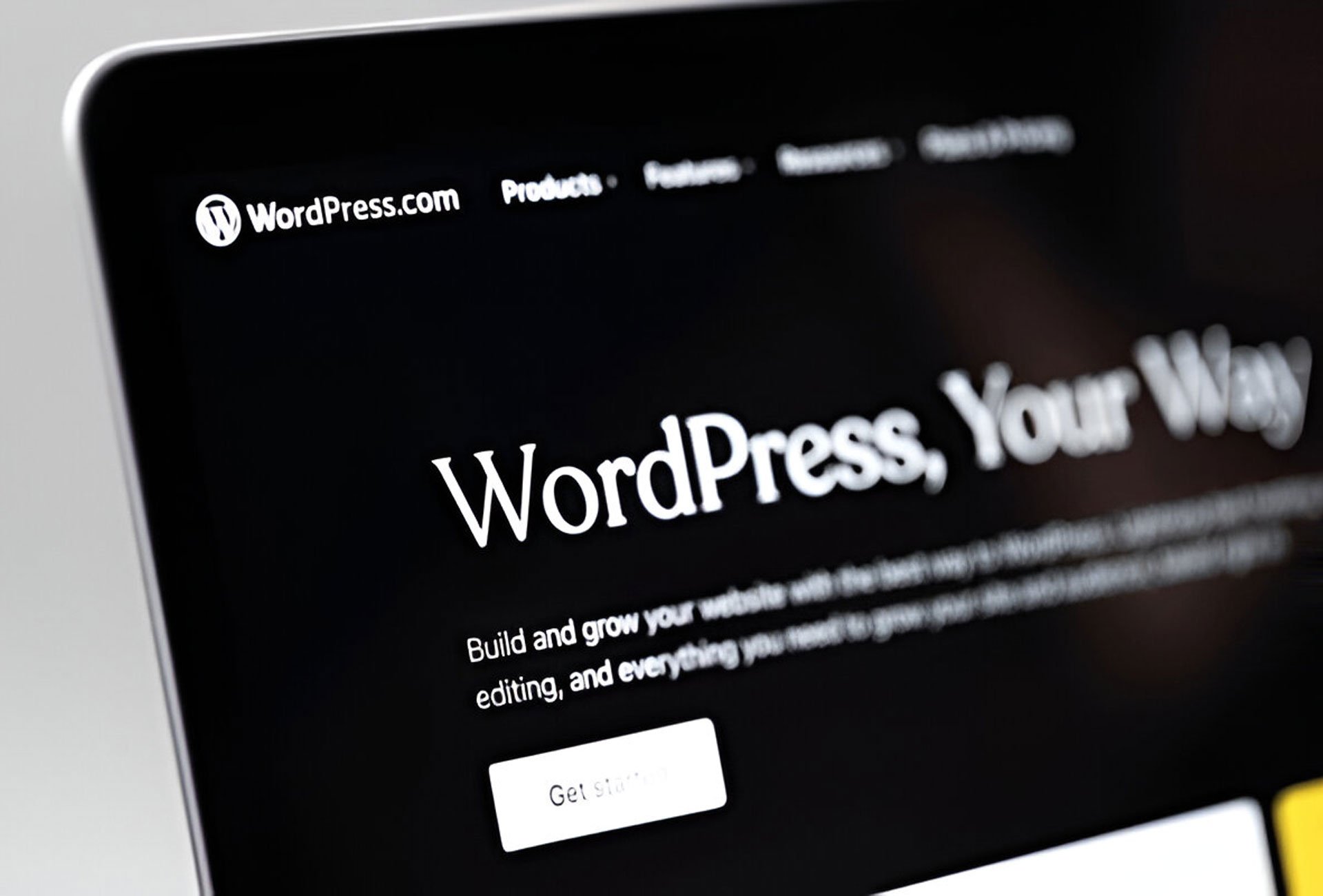 best wordpress website design services